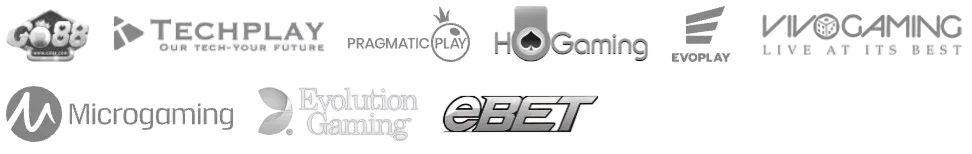 đối tác trò chơi